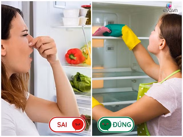 cat trung khong dung noi va 11 sai lam tai hai nha nao cung mac khi dung tu lanh - 5