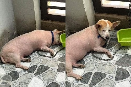 Bất ngờ chưa? Bất ngờ chưa?