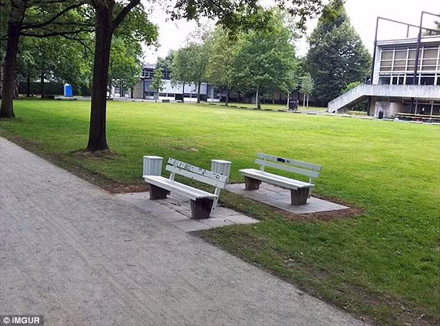 16 bức ảnh chứng minh cuộc sống có những điều trùng hợp đến khó tin ảnh 9