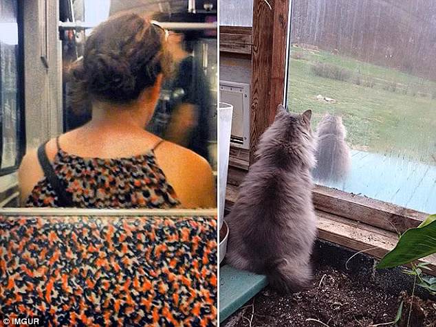 16 bức ảnh chứng minh cuộc sống có những điều trùng hợp đến khó tin ảnh 7