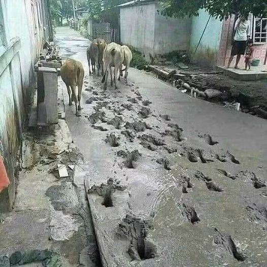 Con đường bê tông nhìn khó chịu nhất năm chính là đây!