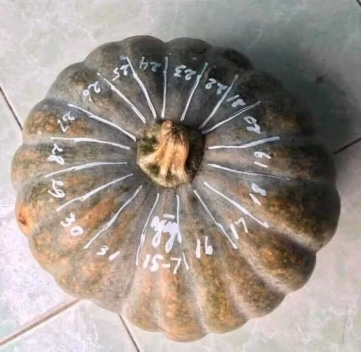 Thư giãn đầu tuần với loạt ảnh cực hài