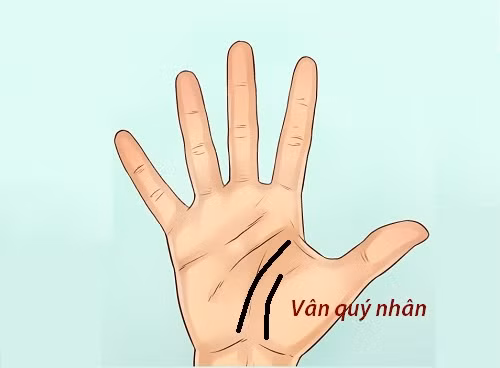 6 tướng tay quý nhân giúp bạn may mắn trọn đời ảnh 4