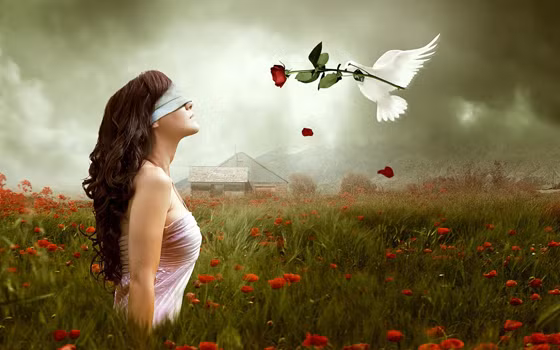  Phụ nữ rất giỏi trong việc truy tìm dấu vết. 