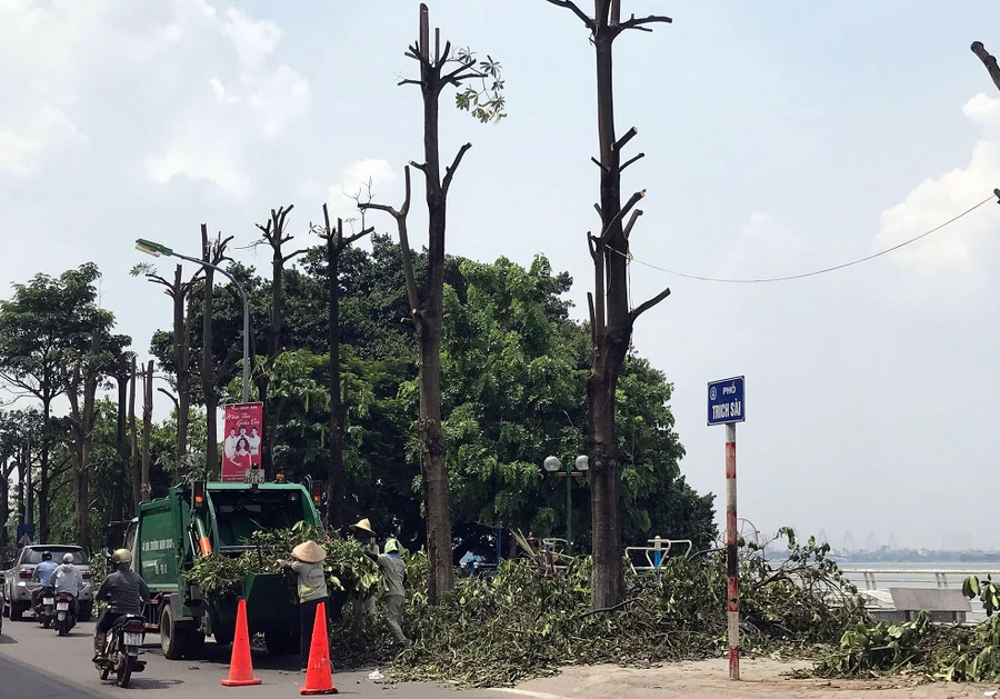 Công nhân môi trường tiến hành thu gom cành cây sau khi cắt tỉa