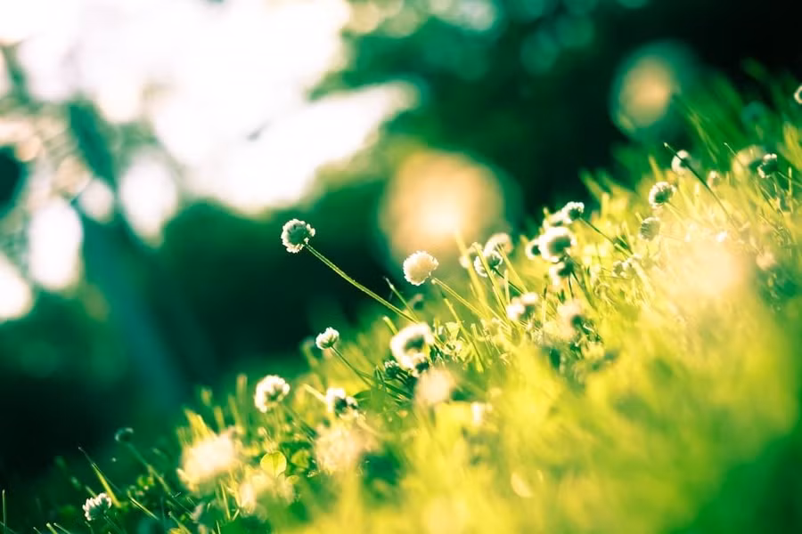 5 chu dung dang ghi nho trong cuoc song