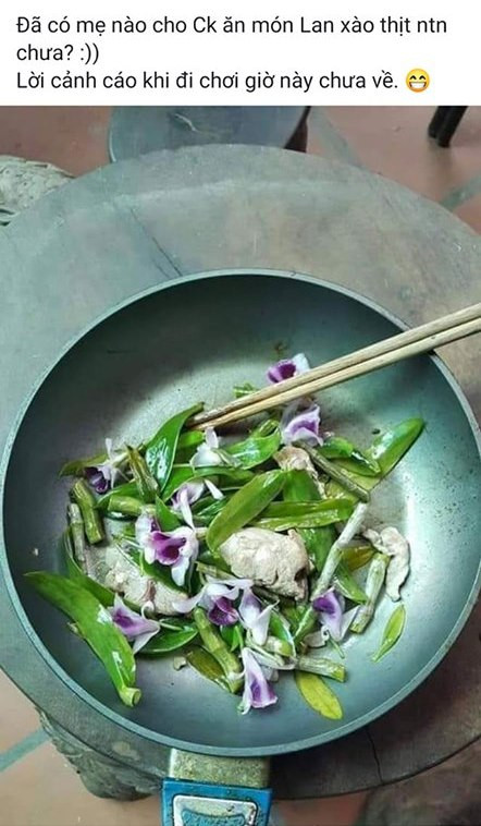 Đem cây lan quý... xào thịt để cảnh cáo chồng về muộn, cô vợ gây tranh cãi dữ dội Đem cây lan quý... xào thịt để cảnh cáo chồng về muộn, cô vợ gây tranh cãi dữ dội