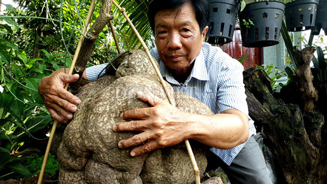 Ông Thống bên củ bình vôi nặng trên 40 kg.