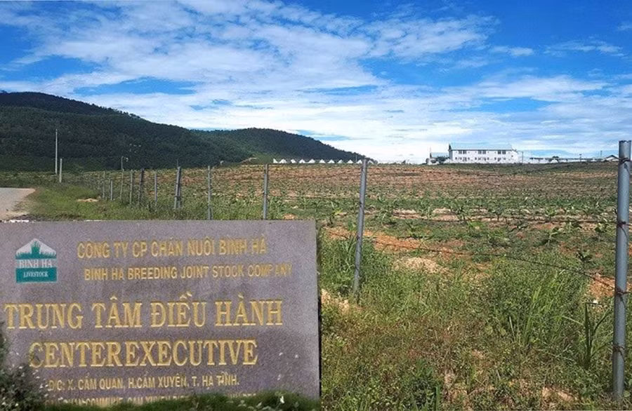 Dự án chăn nuôi bò giống, bò thịt của Công ty Bình Hà tại các huyện Cẩm Xuyên, tỉnh Hà Tĩnh do BIDV đã cấp gói tín dụng hơn 3.000 tỉ đồng không phát huy hiệu quả.