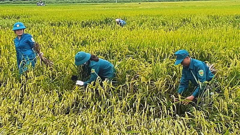 Dân quân tự vệ cũng ra sức giúp người dân.