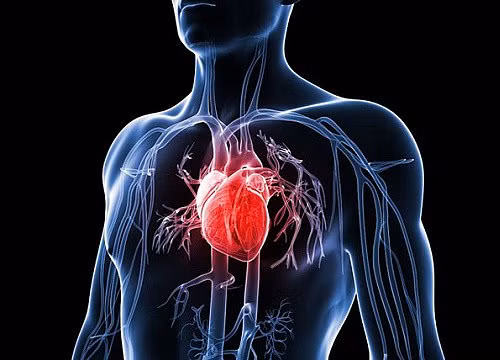 Chàng trai 26 tuổi sử dụng đến… 3 quả tim - Hình 1