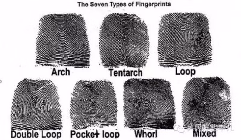 Dấu vân tay có thay đổi sau khi chúng ta chết không? Câu trả lời khiến ai cũng bất ngờ