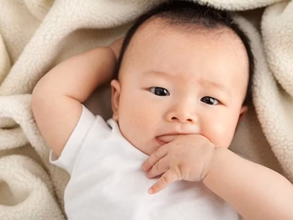 Những điều kỳ diệu về bộ não của trẻ mà không phải ai cũng biết - ảnh 1