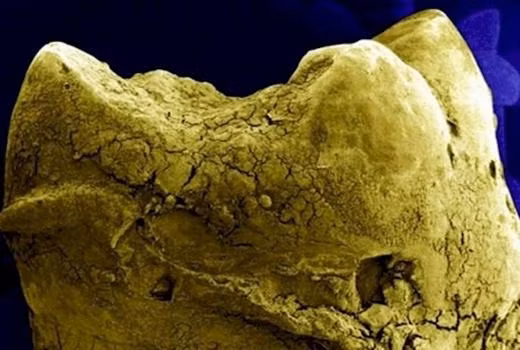 Cực kì kinh ngạc: Những thứ rùng rợn này nằm ngay trên cơ thể bạn!