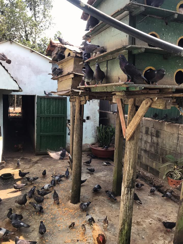 Loạt món ăn dân dã khiến hội chị em gái xinh đẹp nhà Nhã Phương mê mẩn ảnh 6