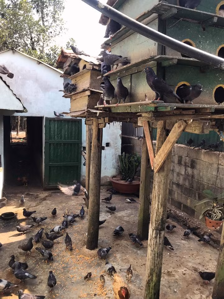 Loạt món ăn dân dã khiến hội chị em gái xinh đẹp nhà Nhã Phương mê mẩn ảnh 6 Loạt món ăn dân dã khiến hội chị em gái xinh đẹp nhà Nhã Phương mê mẩn ảnh 6