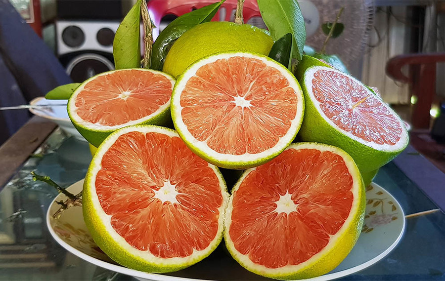 Kỳ lạ cây  Kỳ lạ cây
