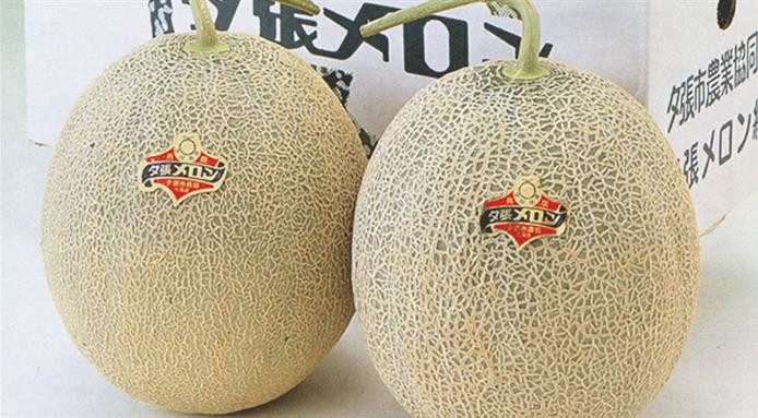 Sự thật bất ngờ phía sau quả dưa có giá tới 500 triệu-1
