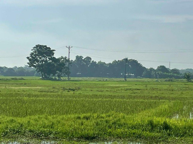 Vị trí khu đất triển khai dự án tại phường Quảng Thành. (Ảnh: NT). Vị trí khu đất triển khai dự án tại phường Quảng Thành. (Ảnh: NT).