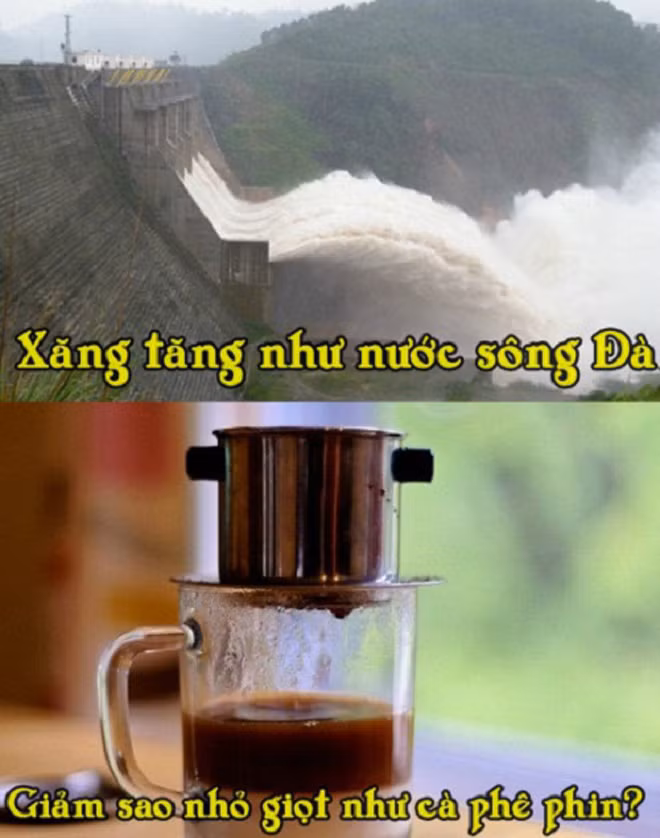 bao to cu lang le qua, gia xang cu lang le tang hinh anh 8