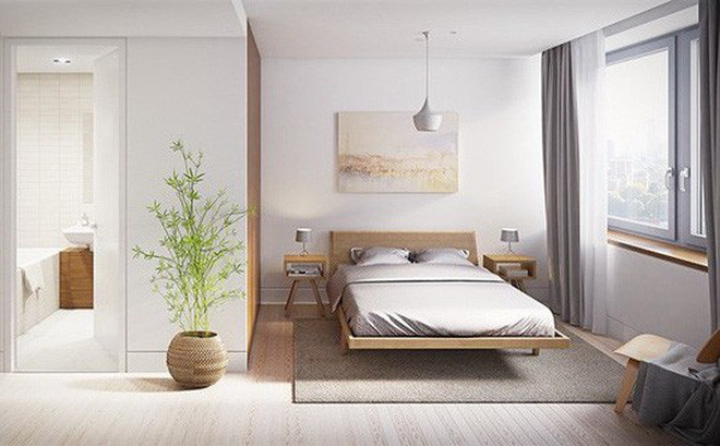 Không đặt cây xanh trong phòng ngủ