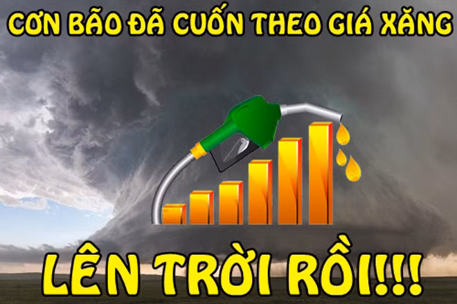 bao to cu lang le qua, gia xang cu lang le tang hinh anh 5