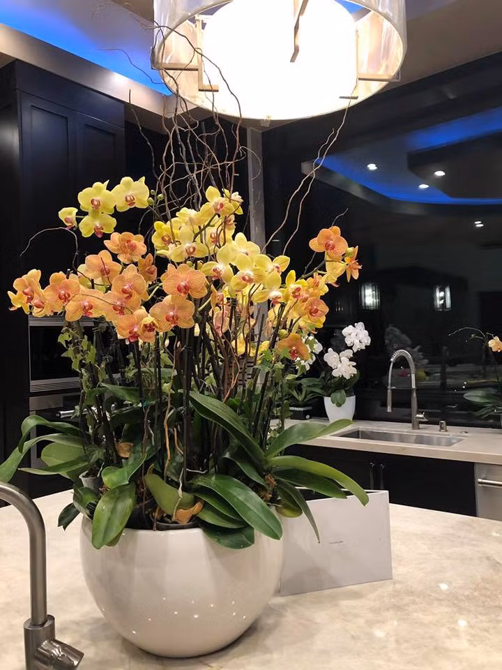 51195236_10161252251170507_5742181991248297984_n