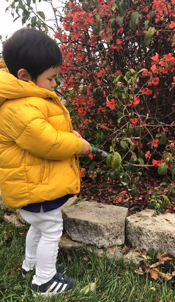 Ở Mỹ, con trai Đan Trường vẫn cùng mẹ tất bật chuẩn bị cho Tết cổ truyền - Ảnh 3. Ở Mỹ, con trai Đan Trường vẫn cùng mẹ tất bật chuẩn bị cho Tết cổ truyền - Ảnh 3.