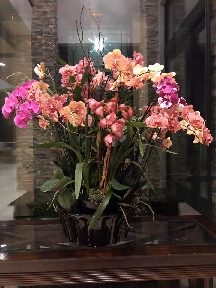 51007159_10161252251360507_3016474476805095424_n 51007159_10161252251360507_3016474476805095424_n