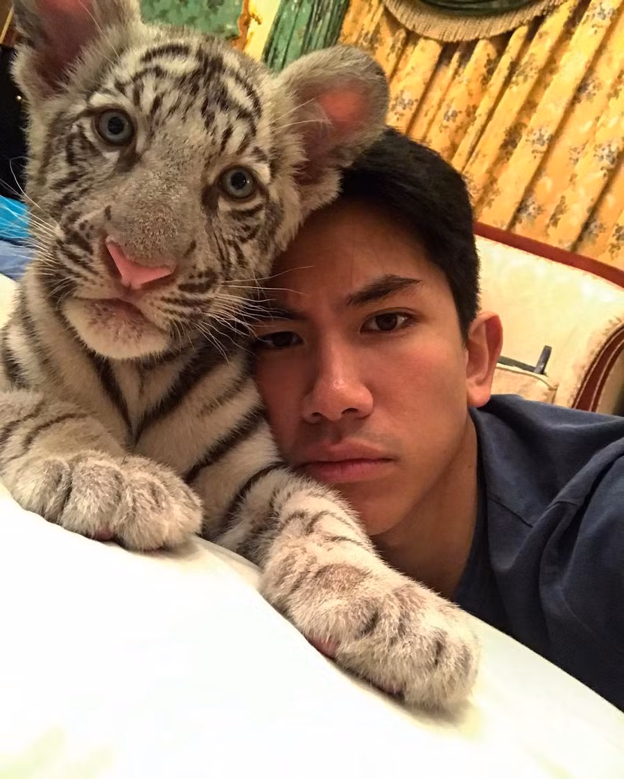 15625043-1213669148723774-3811299806047895552-n-1503378262197