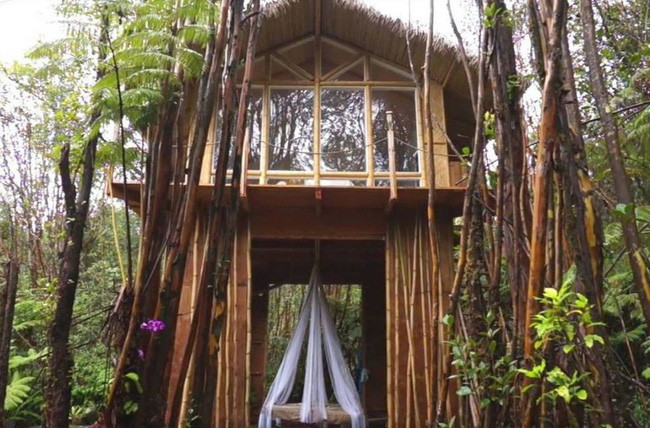 Những ngôi nhà trên cây tuyệt đẹp khiến bạn mộng mơ đến một cuộc sống chan hòa bên thiên nhiên - Ảnh 19. Những ngôi nhà trên cây tuyệt đẹp khiến bạn mộng mơ đến một cuộc sống chan hòa bên thiên nhiên - Ảnh 19.