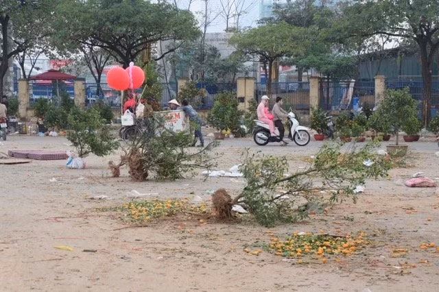 Mặc cả gay gắt với người bán quất, nam sinh Bách Khoa tái mặt khi biết đó là bố bạn gái