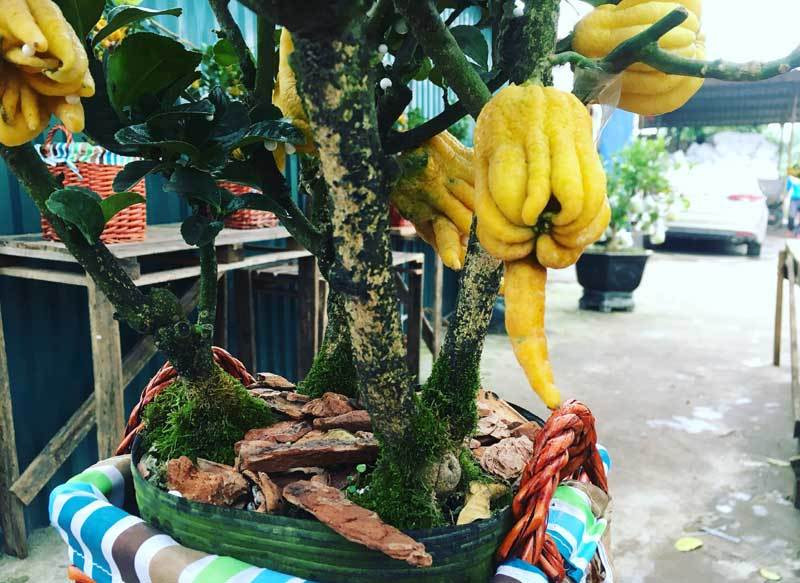 Cận cảnh "Bàn tay Phật" độc nhất vô nhị, đại gia không tiếc tiền rước về thắp hương ảnh 2 Cận cảnh "Bàn tay Phật" độc nhất vô nhị, đại gia không tiếc tiền rước về thắp hương ảnh 2