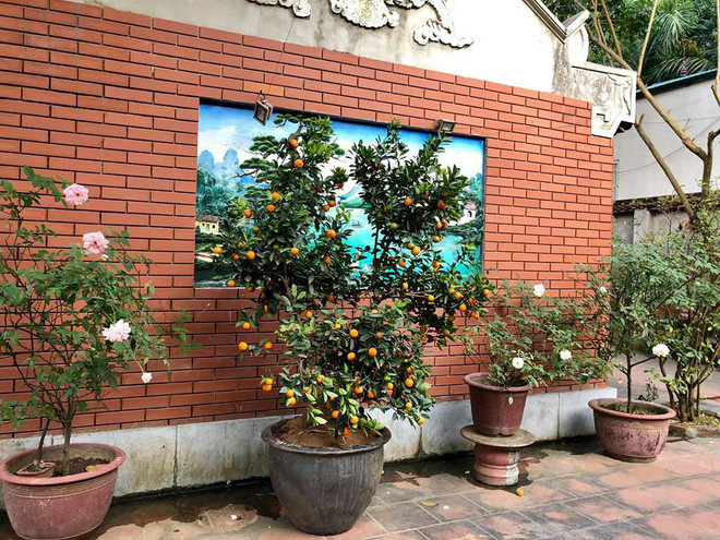 Cuộc sống giàu có của 3 diễn viên hài nổi tiếng miền Bắc - Ảnh 12. Cuộc sống giàu có của 3 diễn viên hài nổi tiếng miền Bắc - Ảnh 12.