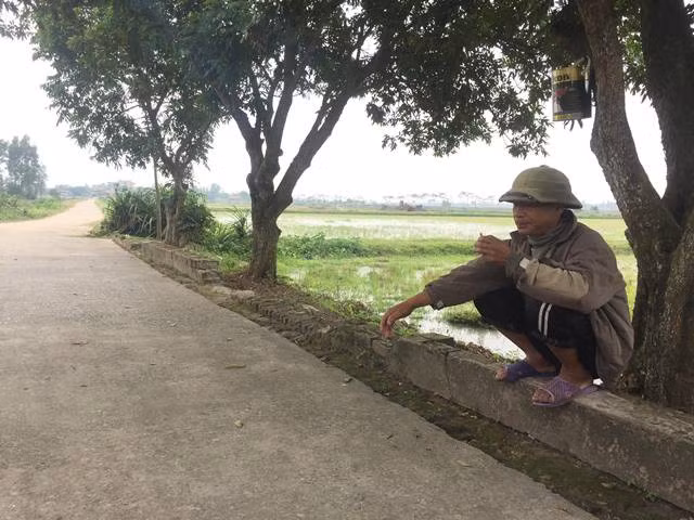  Làng Nội Rối và Quang Ốc chỉ cách nhau 1 cánh đồng. 