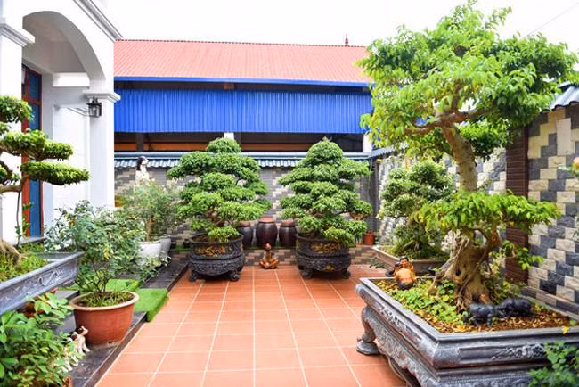 Căn nhà tiền tỷ "ngập" đồ gỗ của danh hài Chiến Thắng ảnh 9 can nha tien ty nhu cua hang do go cua danh hai chien thang ruc ro don tet ky hoi - 9