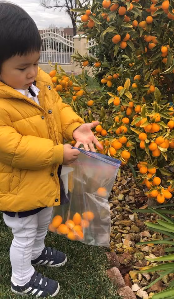 Ở Mỹ, con trai Đan Trường vẫn cùng mẹ tất bật chuẩn bị cho Tết cổ truyền - Ảnh 1. Ở Mỹ, con trai Đan Trường vẫn cùng mẹ tất bật chuẩn bị cho Tết cổ truyền - Ảnh 1.