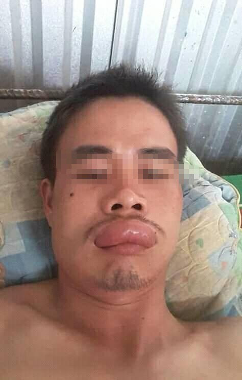 Thanh niên số nhọ nhất tối cuối năm: Đang ngắm chậu hoa mai thì gặp hoạ - Ảnh 1. Thanh niên số nhọ nhất tối cuối năm: Đang ngắm chậu hoa mai thì gặp hoạ-1
