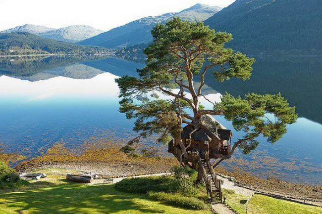 Những ngôi nhà trên cây tuyệt đẹp khiến bạn mộng mơ đến một cuộc sống chan hòa bên thiên nhiên - Ảnh 22. Những ngôi nhà trên cây tuyệt đẹp khiến bạn mộng mơ đến một cuộc sống chan hòa bên thiên nhiên - Ảnh 22.