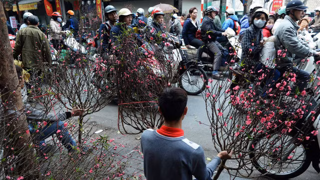 CNN bầu chọn 12 hình ảnh Tết Nguyên Đán trên khắp thế giới, Việt Nam góp mặt với khung cảnh giản dị thân quen - Ảnh 5.