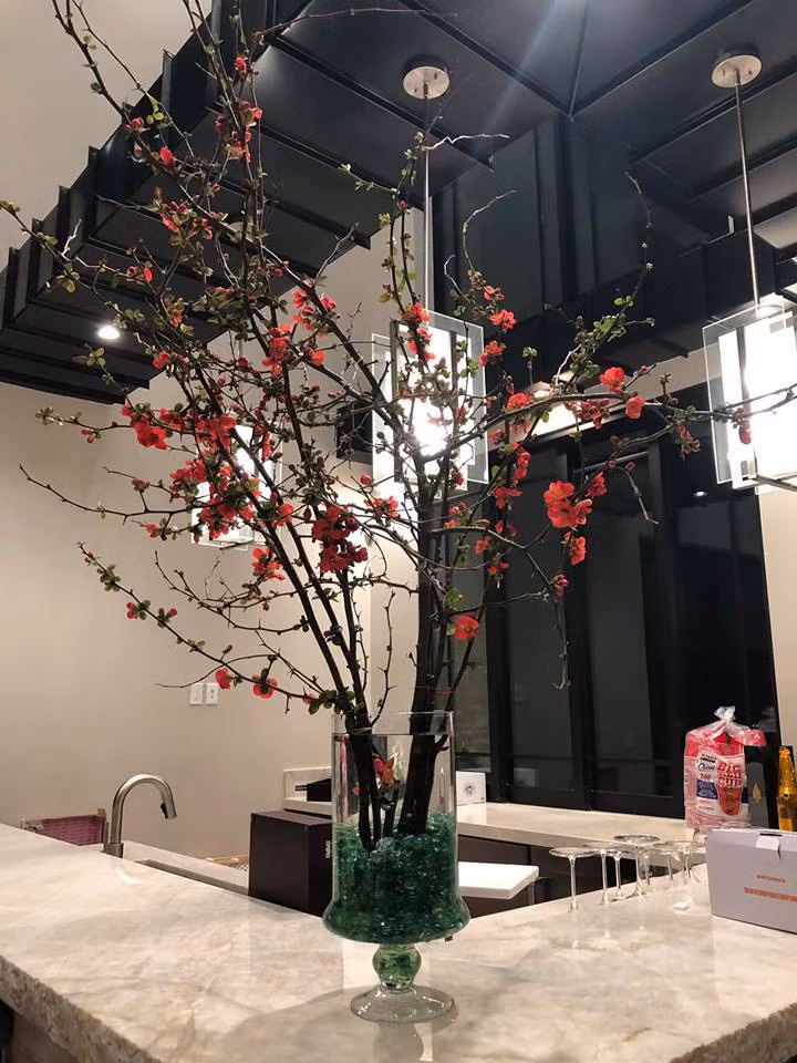 51080292_10161252251295507_1931489777043898368_n 51080292_10161252251295507_1931489777043898368_n