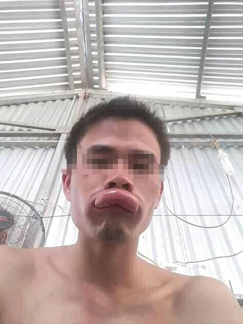 Thanh niên số nhọ nhất tối cuối năm: Đang ngắm chậu hoa mai thì gặp hoạ - Ảnh 2. Thanh niên số nhọ nhất tối cuối năm: Đang ngắm chậu hoa mai thì gặp hoạ-2