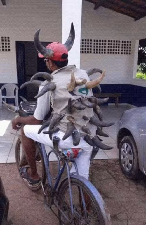 Chúa tể của những chiếc sừng.