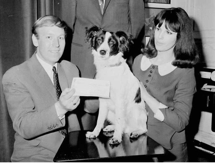 {title} bí ẩn,tên trộm bí ẩn,ăn trộm cúp World Cup,cúp vàng