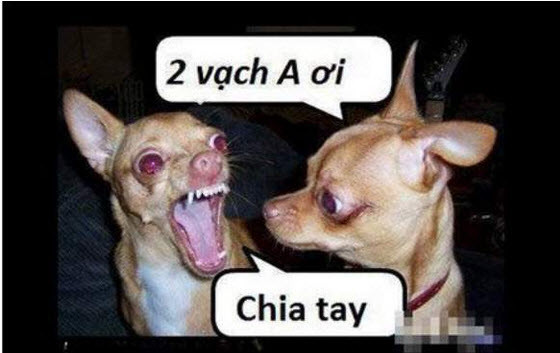 Xả stress với loạt ảnh chế động vật về tình yêu ảnh 9