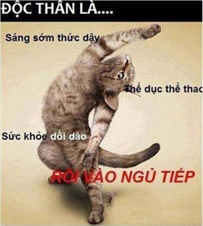 Xả stress với loạt ảnh chế động vật về tình yêu ảnh 5