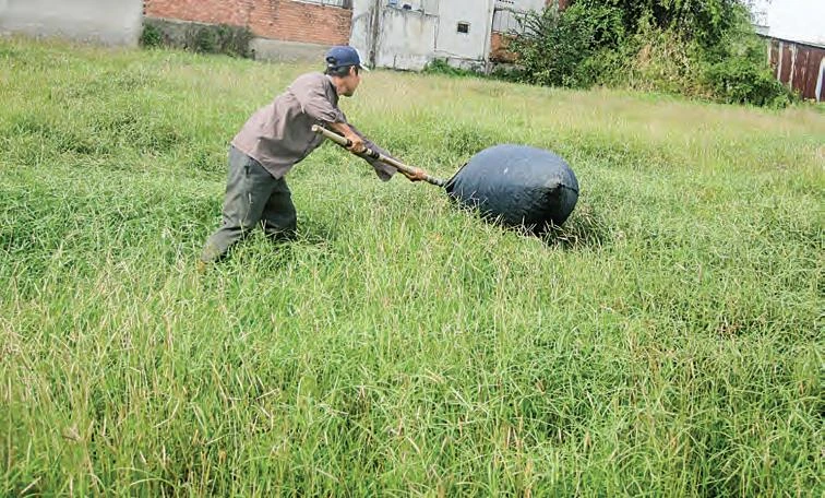 Kiếm tiền từ… cào cào, châu chấu