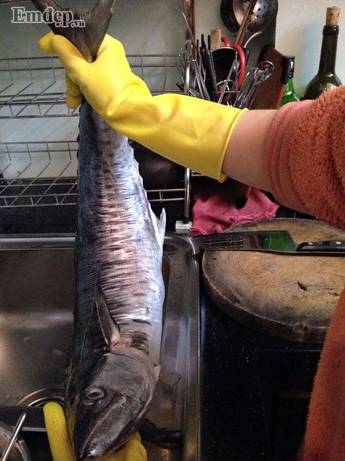 Lạ miệng với món cá thu khho mật mía nhìn là muốn ăn