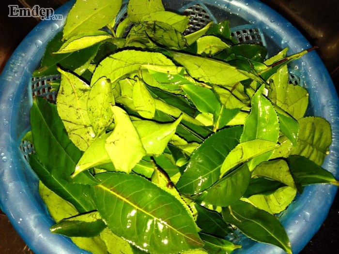 Lạ miệng với món cá thu khho mật mía nhìn là muốn ăn