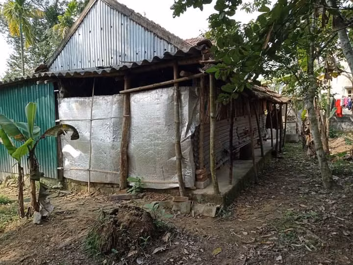 Căn nhà tre dột nát của bà Lan trước đây.